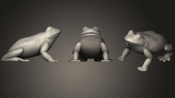 3D model Tree Frog (1) (STL)